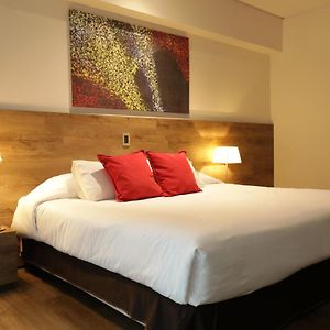 Executive Double Room Mountain View